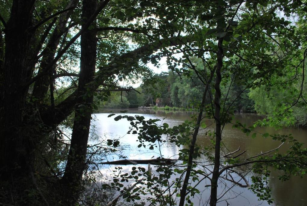 Paradis Perdu En Sologne Avec Plage Privee Villeny Ngoại thất bức ảnh
